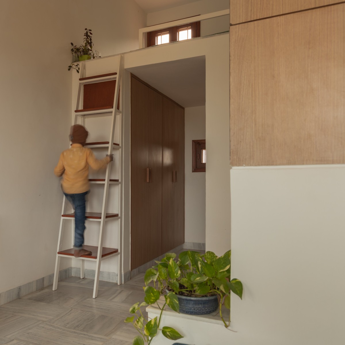 Gallery image 6